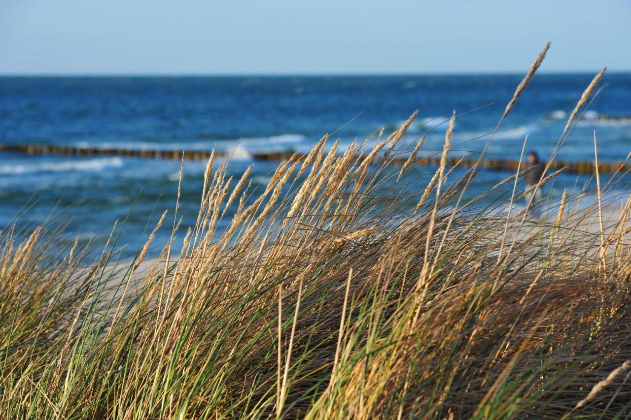 Seestr_54 Nr_304 Zingst Exterior foto